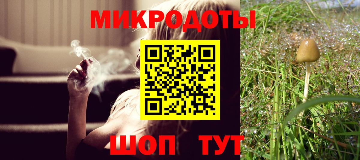 Галлюциногенные грибы ЛСД Гудермес