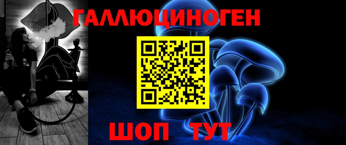 Псилоцибиновые грибы Cubensis Гудермес