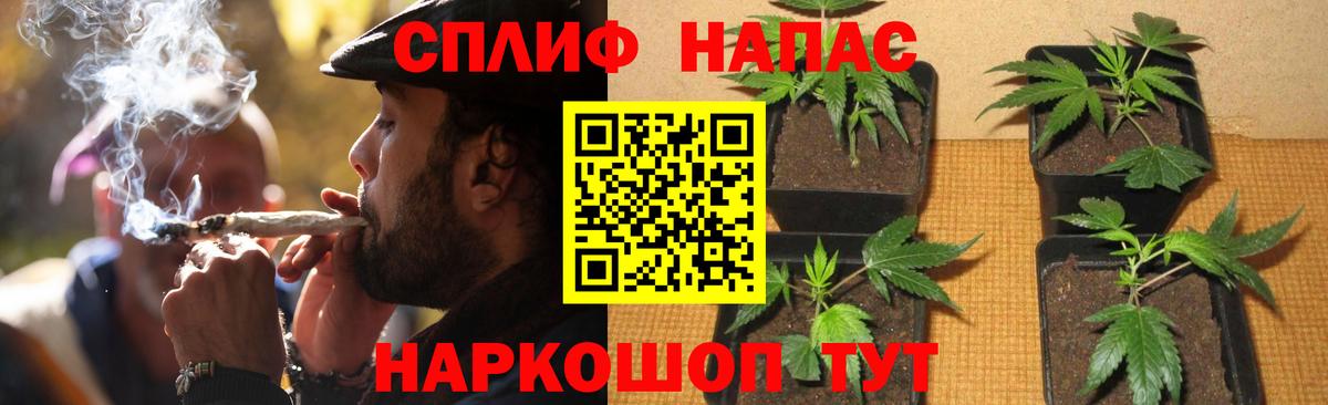 Бошки Шишки AK-47  Бошки Шишки план  Гудермес  Вход с VPN  МАРИХУАНА конопля  Шишки марихуана SATIVA & INDICA 